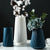 Morandi plastic vases for flower arrangements for home decoration