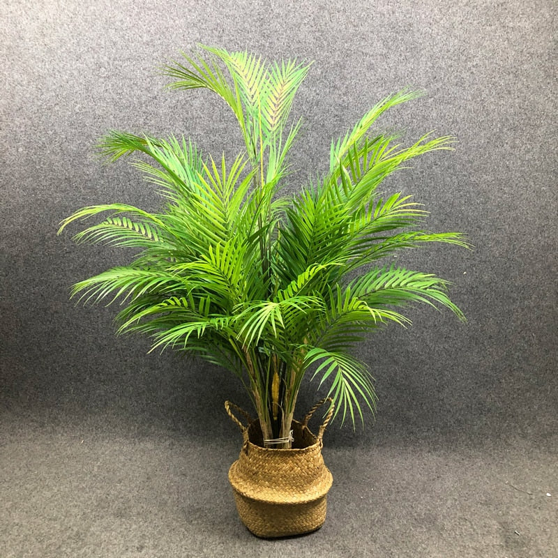125cm Tropical Palm Plants