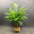 125cm Tropical Palm Plants